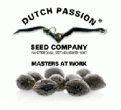 Производители - Dutch Passion