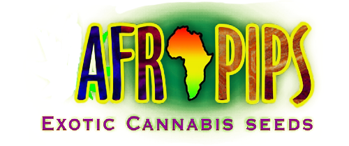 Afropips